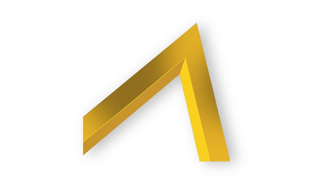 core-values-customerfocus