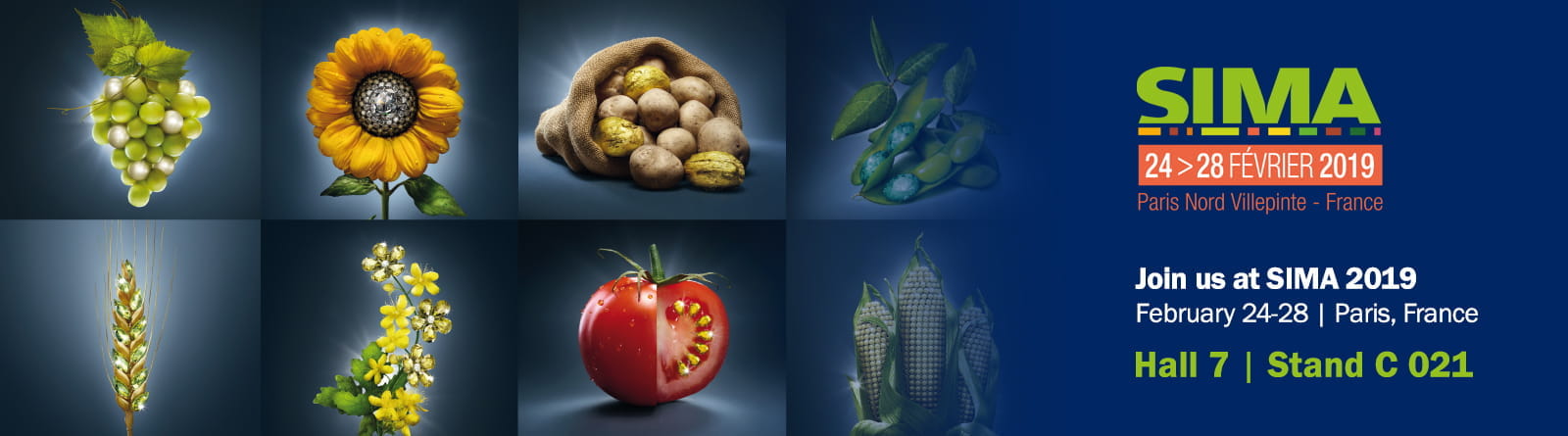 Sima 2019