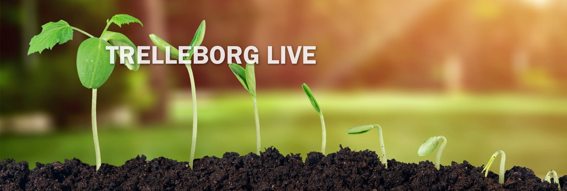 Live_Italy_1926x648_s