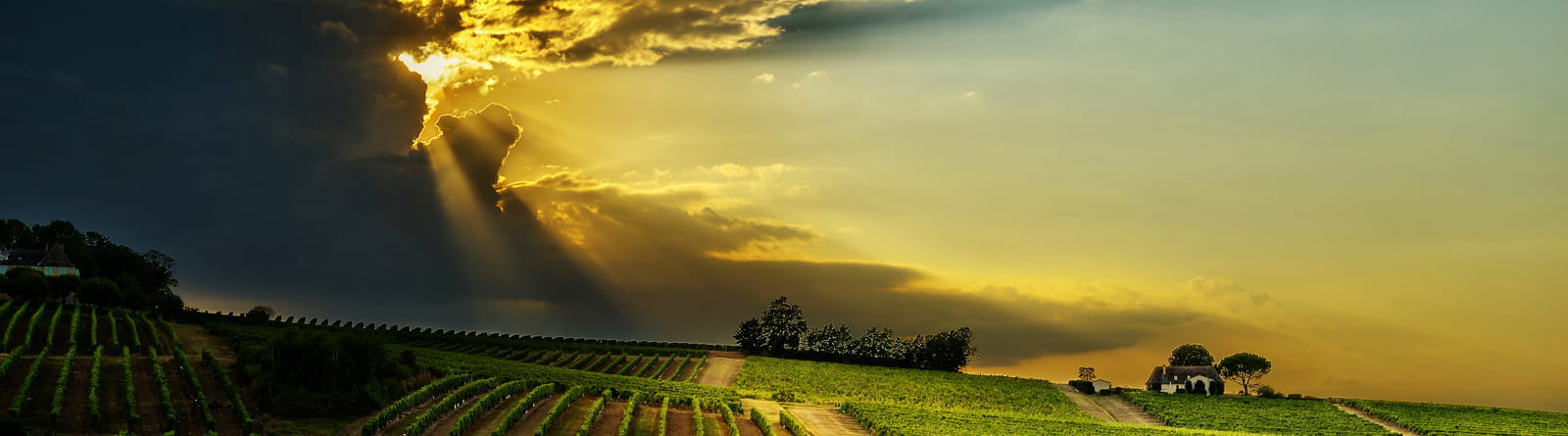 TrelleborgTractorTires1600x445