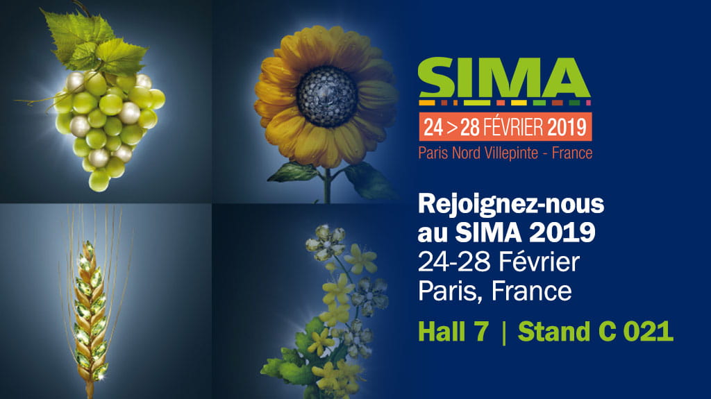 Sima 2019