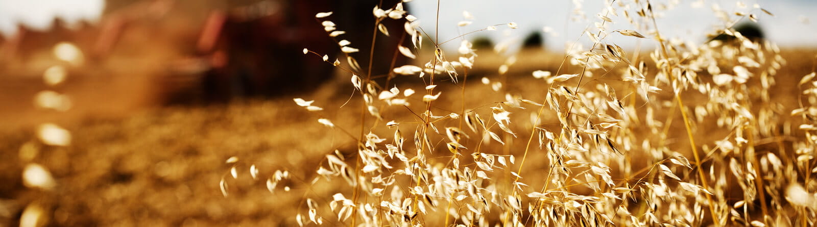 Trelleborg Marketing