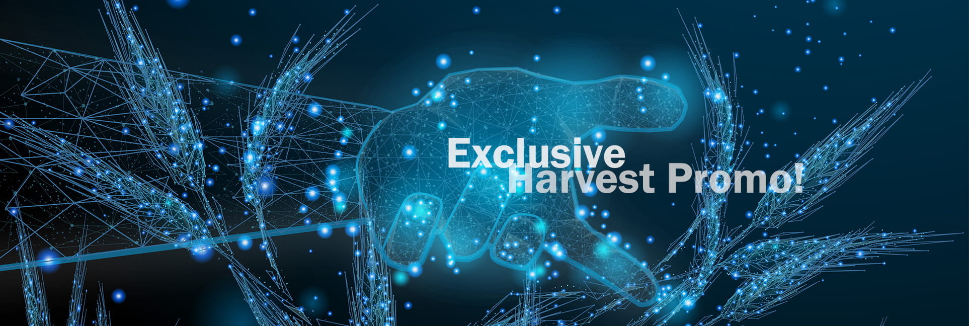 PremiumCare-top-banner_1926x648